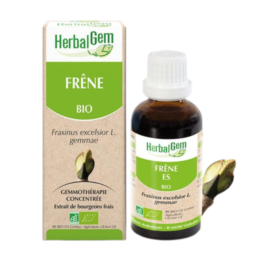 Frêne BIO - 30 ml