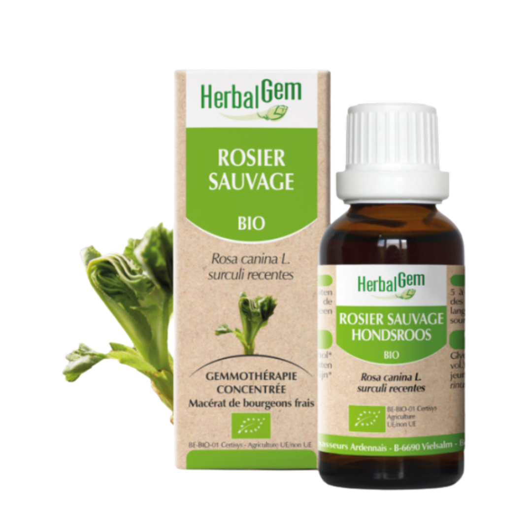 Rosier sauvage BIO - 30 ml