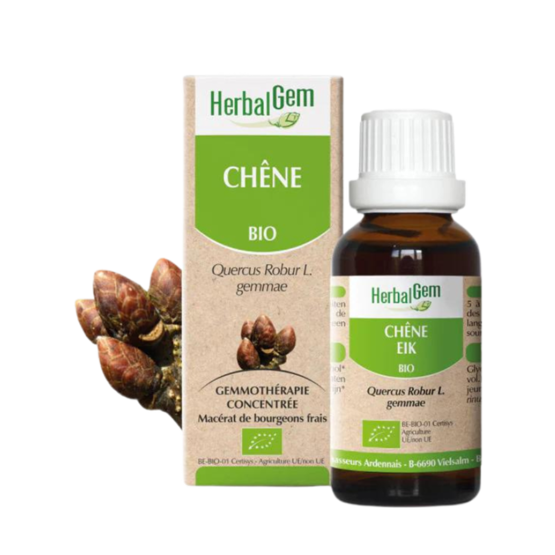 Chêne BIO - 30 ml