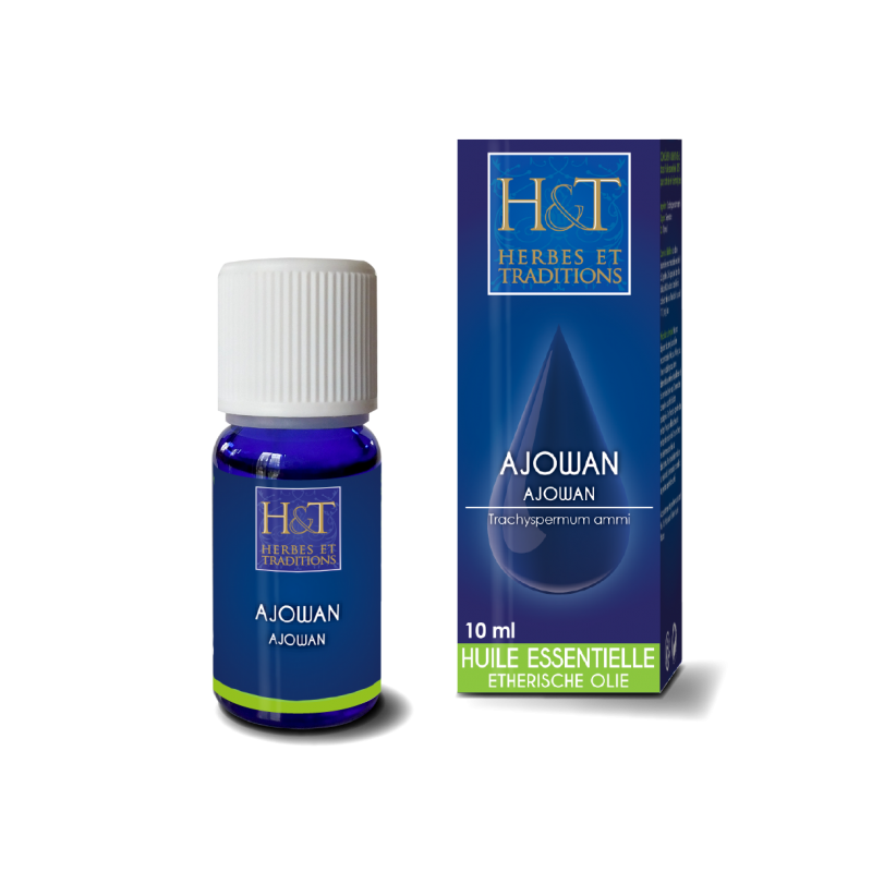 Huile Essentielle Ajowan (Trachyspermum ammi)