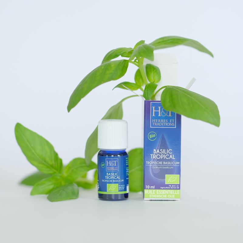 Huile Essentielle Basilic méthylchavicol (Ocimum basilicum) BIO