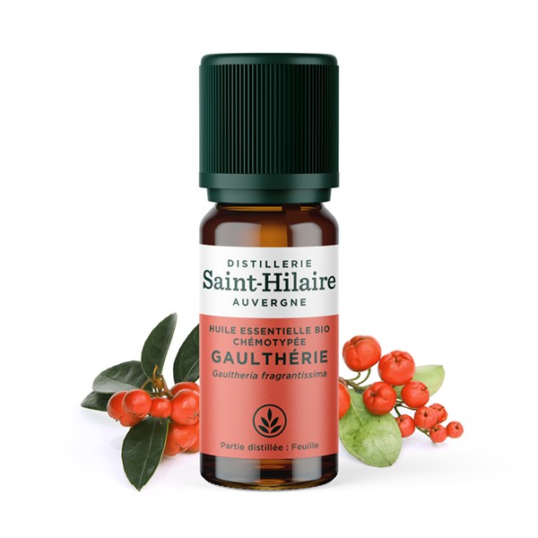 Huile Essentielle Gaultherie BIO - 10 ml