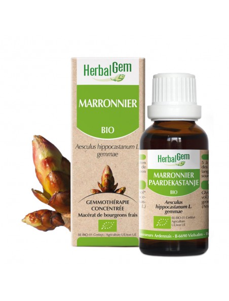Marronnier BIO - 30 ml