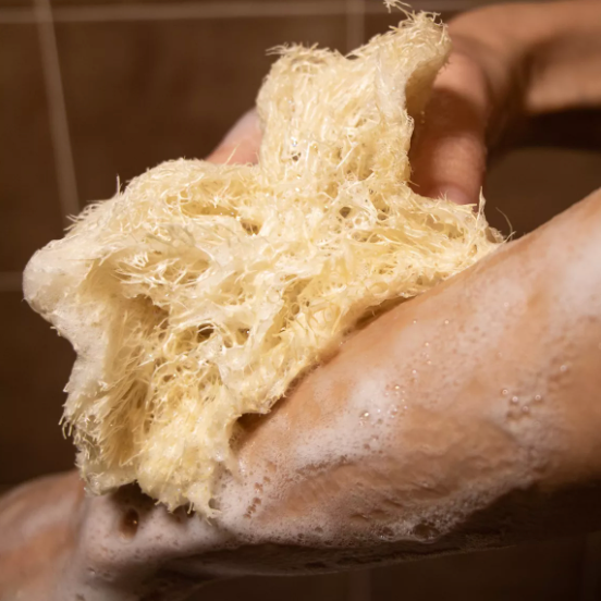 Éponge de douche en luffa