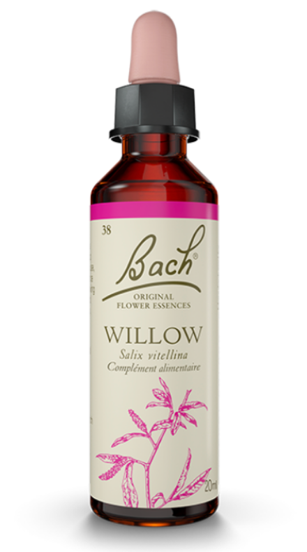 Saule (Willow) 20 ml