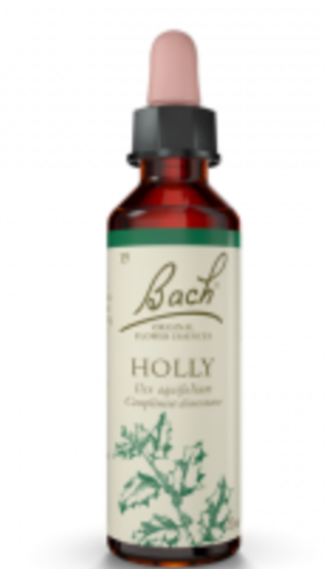 Houx (Holly) 20 ml