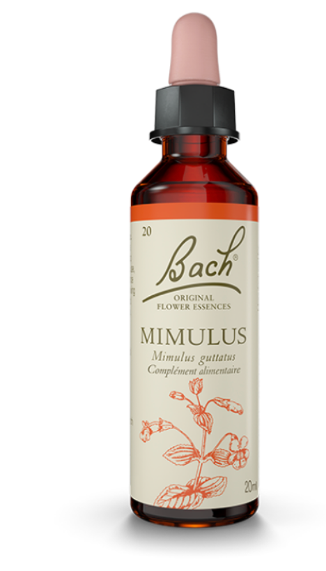 Mimule (Mimulus) 20 ml