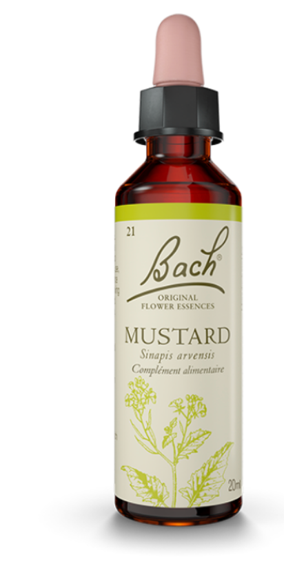 Moutarde (Mustard) 20 ml