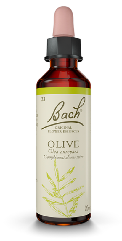 Olivier  (Olive) 20 ml