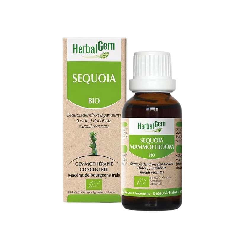 Sequoia BIO - 30 ml - HerbalGem