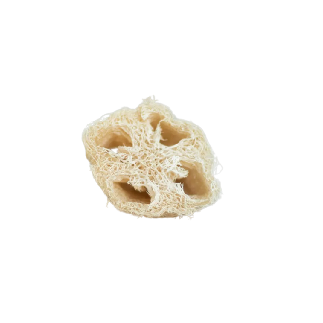 Éponge de douche en luffa