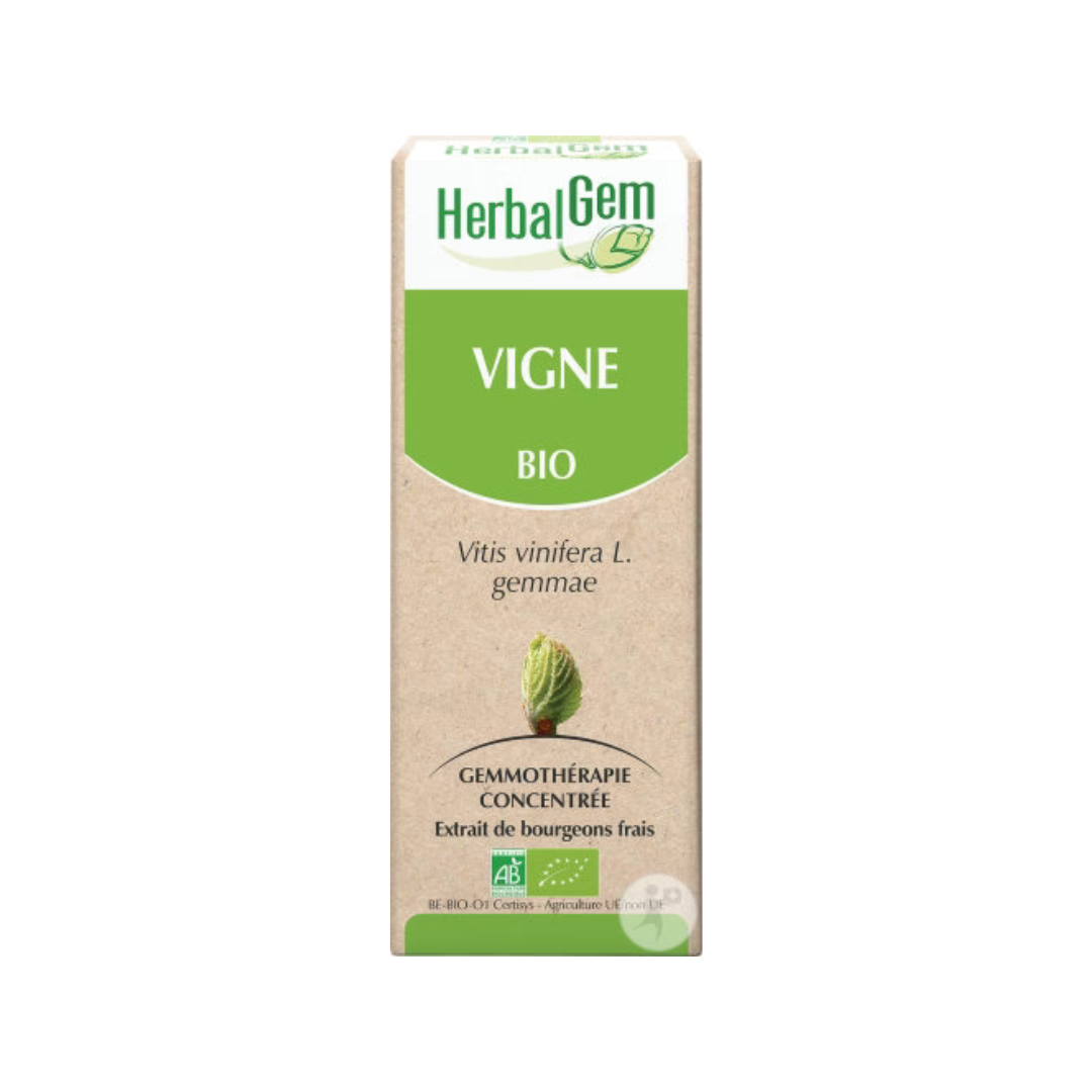 Vigne BIO - 30 ml