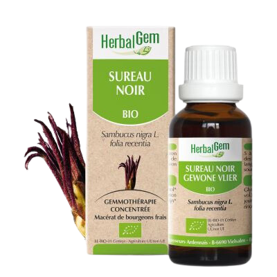 Sureau Noir BIO - 30 ml - HerbalGem