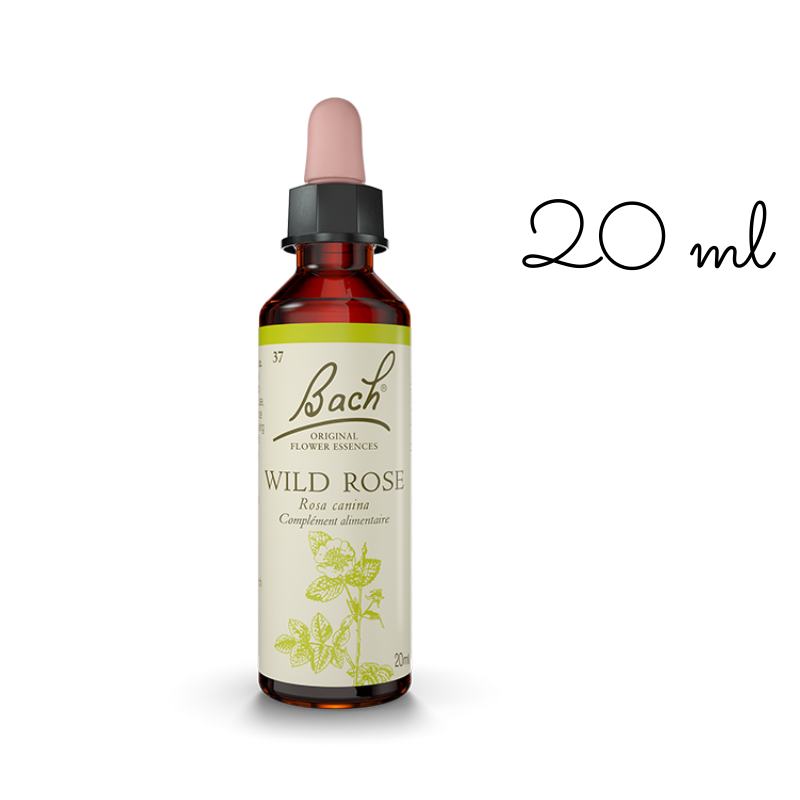 Eglantier (Wild rose) 20 ml