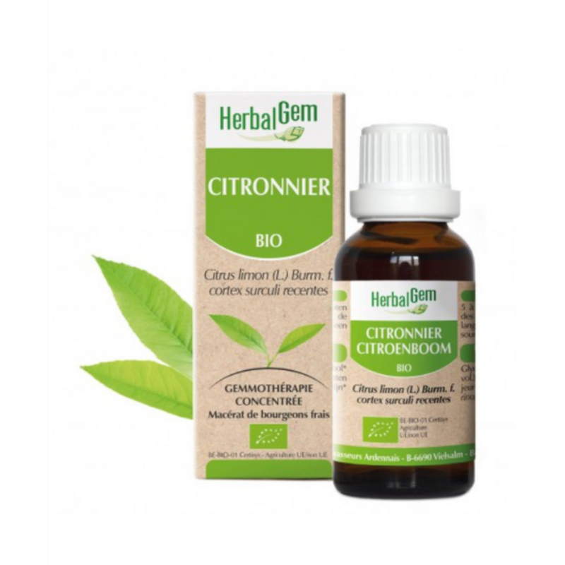 Citronnier BIO - 30 ml - HerbalGem