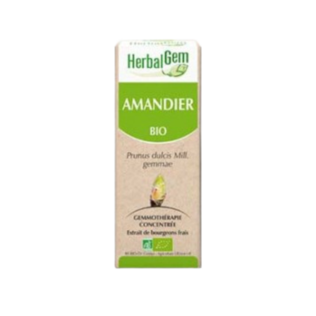 Amandier BIO - 30 ml