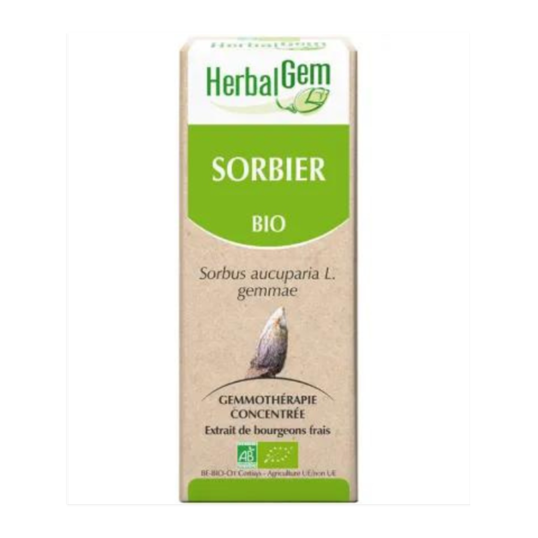 Sorbier BIO - 30 ml