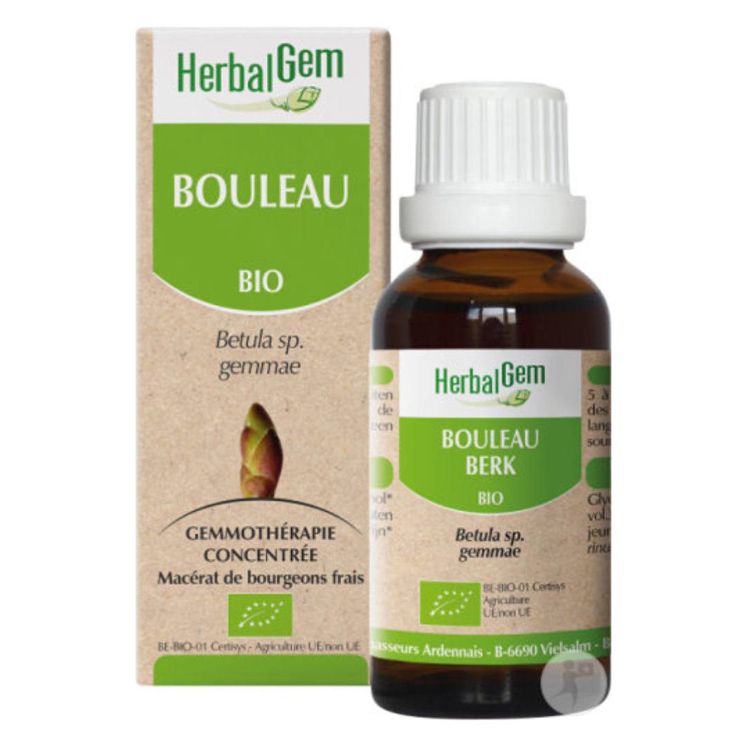 Bouleau BIO - 30 ml