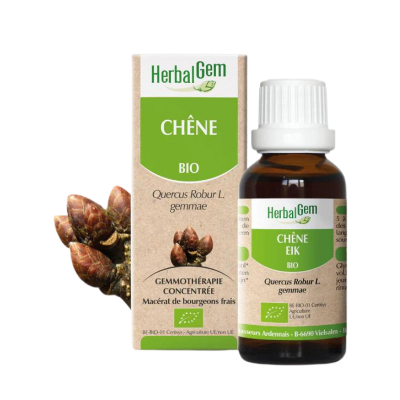 Chêne BIO - 30 ml - HerbalGem