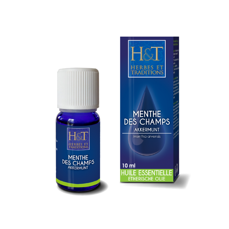Huile Essentielle Menthe des champs (Mentha arvensis) - 10 ml - Herbes & traditions