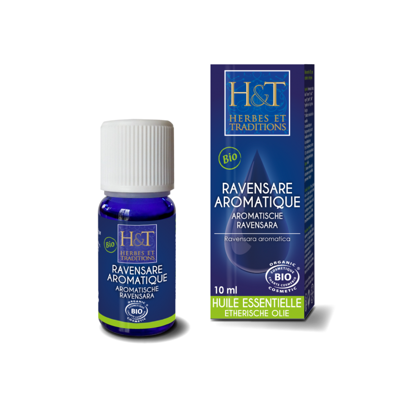 Huile Essentielle Ravensare aromatique (Ravensara aromatica) Bio - 10 ml - Herbes & traditions